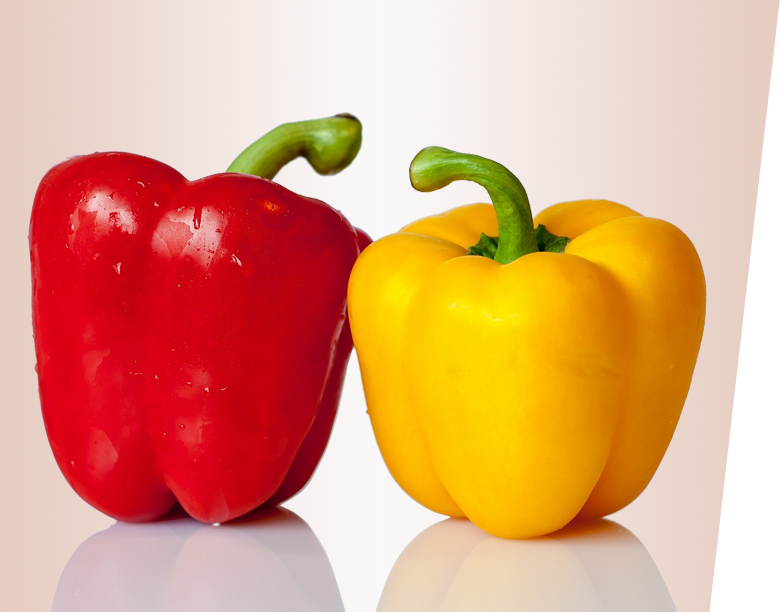 paprika_startseite paprika_startseite
